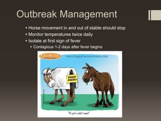 Outbreak Management
 Horse movement in and out of stable should stop
 Monitor temperatures twice daily
 Isolate at first sign of fever
 Contagious 1-2 days after fever begins
 