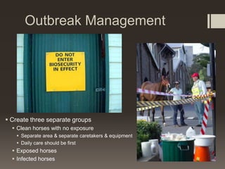 Outbreak Management
 Create three separate groups
 Clean horses with no exposure
 Separate area & separate caretakers & equipment
 Daily care should be first
 Exposed horses
 Infected horses
 