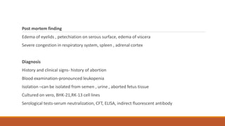 Post mortem finding
Edema of eyelids , petechiation on serous surface, edema of viscera
Severe congestion in respiratory system, spleen , adrenal cortex
Diagnosis
History and clinical signs- history of abortion
Blood examination-pronounced leukopenia
Isolation –can be isolated from semen , urine , aborted fetus tissue
Cultured on vero, BHK-21,RK-13 cell lines
Serological tests-serum neutralization, CFT, ELISA, indirect fluorescent antibody
 
