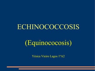 ECHINOCOCCOSIS

 (Equinococosis)
   Yésica Vieiro Lagos 1ºA2
 