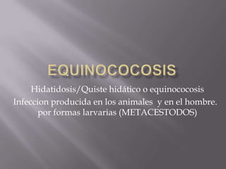 Hidatidosis/Quiste hidático o equinococosis
Infeccion producida en los animales y en el hombre.
       por formas larvarias (METACESTODOS)
 