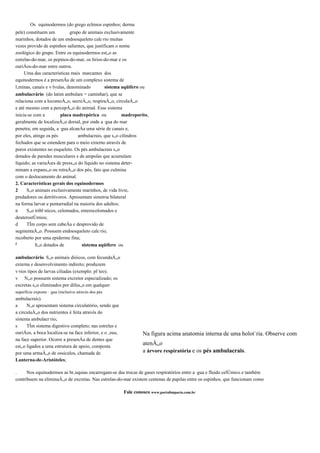Os equinodermos (do grego echinos espinhos; derma
pele) constituem um          grupo de animais exclusivamente
marinhos, dotados de um endoesqueleto calcário muitas
vezes provido de espinhos salientes, que justificam o nome
zoológico do grupo. Entre os equinodermos estão as
estrelas-do-mar, os pepinos-do-mar, os lirios-do-mar e os
ouriços-do-mar entre outros.
     Uma das características mais marcantes dos
equinodermos é a presença de um complexo sistema de
lâminas, canais e válvulas, denominado         sistema aqüifero ou
ambulacrário (do latim ambulare = caminhar), que se
relaciona com a locomoção, secreção, respiração, circulação
e até mesmo com a percepção do animal. Esse sistema
inicia-se com a          placa madrepórica ou          madreporíto,
geralmente de localização dorsal, por onde a água do mar
penetra; em seguida, a água alcança uma série de canais e,
por eles, atinge os pés          ambulacrais, que são cilindros
fechados que se estendem para o meio externo através de
poros existentes no esqueleto. Os pés ambulacrais são
dotados de paredes musculares e de ampolas que acumulam
líquido; as variações de pressão do líquido no sistema deter-
minam a expansão ou retração dos pés, fato que culmina
com o deslocamento do animal.
2. Características gerais dos equinodermos
2     São animais exclusivamente marinhos, de vida livre,
predadores ou detritívoros. Apresentam simetria bilateral
na forma larvar e pentarradial na maioria dos adultos;
n     São triblásticos, celomados, enterocelomados e
deuterostômios;
d     Têm corpo sem cabeça e desprovido de
segmentação. Possuem endoesqueleto calcário,
recoberto por uma epiderme fina;
r          São dotados de          sistema aqüífero ou

ambulacrário. São animais dióicos, com fecundação
externa e desenvolvimento indireto; produzem
vários tipos de larvas ciliadas (exemplo: plúteo).
v Não possuem sistema excretor especializado; os
excretas são eliminados por difusão em qualquer
superfície exposta á água (inclusive através dos pés
ambulacrais).
a     Não apresentam sistema circulatório, sendo que
a circulação dos nutrientes é feita através do
sistema ambulacrário;
s     Têm sistema digestivo completo; nas estrelas e
ouriços, a boca localiza-se na face inferior, e o ânus,            Na figura acima anatomia interna de uma holotúria. Observe com
na face superior. Ocorre a presença de dentes que
estão ligados a uma estrutura de apoio, composta
                                                                   atenção
por uma armação de ossículos, chamada de                           a árvore respiratória e os pés ambulacrais.
Lanterna-de-Aristóteles;

.     Nos equinodermos as brânquias encarregam-se das trocas de gases respiratórios entre a água e fluido celômico e também
contribuem na eliminação de excretas. Nas estrelas-do-mar existem centenas de papilas entre os espinhos, que funcionam como

                                                          Fale conosco www.portalimpacto.com.br
 