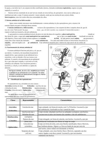 brânquias, e nas holotúrias há um conjunto de tubos ramificados internos, chamados de árvores respiratórias, responsáveis pela
respiração e excreção.
r    Sistema nervoso constituído de um anel nervoso situado em torno da boca, do qual partem cinco nervos radiais que se
ramificam por todo o corpo. O sistema sensorial é muito reduzido, sendo que nas estrelas-do-mar existem células
fotorreceptoras, como minúsculos olhos nas extremidades dos olhos.

3. Sistema ambulacral ou hidrovascular
       Agora vamos estudar uma pouco mais detalhadamente o sistema ambulacrário dos equinodermos, pois o mesmo é de
extrema importância para a fisiologia desses animais.
    O sistema ambulacral ou hidrovascular,            exclusivo dos equinodermos, é um conjunto de tubos e ampolas cheios de água do
mar, daí o nome "hidrovascular" (do grego           hýdor, água, e do latim vasculum, vaso, recipiente). O sistema hidrovascular é
responsável pela movimentação dos pés ambulacrais.
     A água penetra no sistema ambulacral através de poros em uma das placas do esqueleto, a placa madrepórica,                      situada na
face dorsal do corpo, e segue pelo canal madrepórico (ou canal pétreo),            que se liga a um canal circular     localizado em torno do
tubo digestivo. Nesse canal circular existem expansões, as vesículas           de Poli, de onde partem canais radiais,        que percorrem o
corpo junto à face interna das chamadas            zonas ambulacrais.    Em cada canal radial existem inúmeras bolsas musculosas, as
ampolas, cada uma ligada a um          pé ambulacral. O pé ambulacral desponta para o interior do corpo através de um orifício do
esqueleto.
3.1 Funcionamento do sistema ambulacral

    O sistema ambulacral funciona pela pressão de água em
seu interior. A contração da musculatura da parede da
ampola força a água a penetrar no pé ambulacral oco e
musculoso, e este se distende e fixa sua ventosa a um
substrato. A contração da musculatura do pé ambulacral
faz a água voltar para a ampola, e o pé toma-se flácido,
soltando-se do substrato. Esse mecanismo permite a
locomoção, a fixação a um substrato e a captura de
alimento.
          Na figura à direita, de (A) a (D), seqüência que mostra
          a adesão do pé ambulacral a um substrato. As setas
          indicam o sentido de deslocamento da água no interior
          do sistema ambulacral.

     4.     Classificação dos equinodermos

     Os equinodermos estão divididos em cinco classes :
Asteroidea (estrelas-do-mar),        Echinoidea (ouriços-do-mar
e bolachas-do-mar),          Holothuroidea        (pepinos-do-mar),
Crinoidea (lírios-do-mar) e Ophiuroidea              (serpentes-do-
mar).
      Na tabela abaixo temos as características dos
representantes das cinco classes de equinodermos:

            Classe             Representantes                                                  Características



      Asteroidea               Estrelas-do-mar       Corpo achatado, em forma de estrela, com 5 a 50 braços. Locomoção por
                                                      pés ambulacrais, localizados na face ventral do corpo.
       Echinoidea
                              Ouriços-do-mar e        Corpo circular, abaulado (ouriços) ou achatados (corrupios), sem braços.
                              Bolachas-do-mar         Locomovem-se pelos movimentos dos espinhos e dos pés ambulacrais.
    Holothuroidea                (currupios)
                               Pepinos-do-mar          Corpo alongado, em forma de salsicha, sem braços. Locomoção por pés
          Crinoidea              (holotúrias)          ambulacrais localizados em fileiras ao longo do corpo.
                                Lírios-do-mar          Corpo em forma de taça, com cinco braços ramificados, finos e flexíveis,
                                  (crinóides)          que lembram plumas. Alguns são fixos ao fundo do mar por meio de
      Ophiuroidea
                                                       pedúnculos; outros nadam movimentando os braços.
                              Serpentes-do-mar         Corpo achatado, com cinco braços finos e flexíveis, separados uns dos
                                   (ofiúros)           outros, ligados a um disco central. Locomoção por movimentos
                                                       ondulantes dos braços.
 