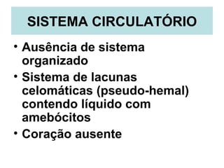 SISTEMA CIRCULATÓRIO
• Ausência de sistema
  organizado
• Sistema de lacunas
  celomáticas (pseudo-hemal)
  contendo líquido com
  amebócitos
• Coração ausente
 