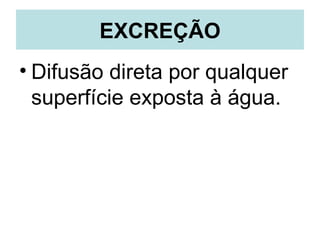 EXCREÇÃO
• Difusão direta por qualquer
  superfície exposta à água.
 