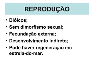 REPRODUÇÃO
•   Dióicos;
•   Sem dimorfismo sexual;
•   Fecundação externa;
•   Desenvolvimento indireto;
•   Pode haver regeneração em
    estrela-do-mar.
 