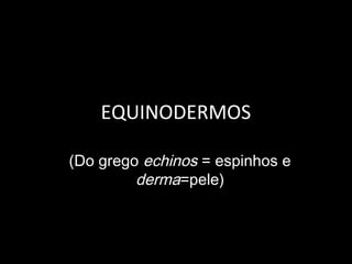 EQUINODERMOS

(Do grego echinos = espinhos e
         derma=pele)
 