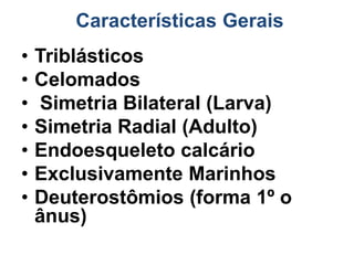 Características Gerais
•   Triblásticos
•   Celomados
•   Simetria Bilateral (Larva)
•   Simetria Radial (Adulto)
•   Endoesqueleto calcário
•   Exclusivamente Marinhos
•   Deuterostômios (forma 1º o
    ânus)
 