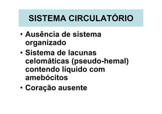 SISTEMA CIRCULATÓRIO
• Ausência de sistema
  organizado
• Sistema de lacunas
  celomáticas (pseudo-hemal)
  contendo líquido com
  amebócitos
• Coração ausente
 