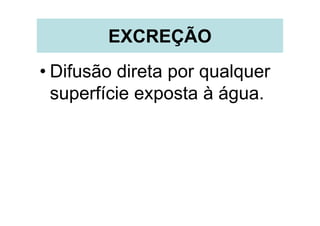 EXCREÇÃO
• Difusão direta por qualquer
  superfície exposta à água.
 