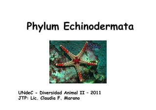 Phylum Echinodermata
UNdeC - Diversidad Animal II – 2011
JTP: Lic. Claudia F. Marano
 