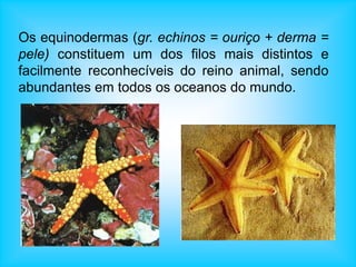 Os equinodermas (gr. echinos = ouriço + derma =
pele) constituem um dos filos mais distintos e
facilmente reconhecíveis do reino animal, sendo
abundantes em todos os oceanos do mundo.
 