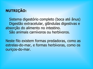 NUTRIÇÃO:
Sistema digestório completo (boca até ânus)
Digestão extracelular, glândulas digestivas e
absorção do alimento no intestino.
São animais carnívoros ou herbívoros.
Neste filo existem formas predadoras, como as
estrelas-do-mar, e formas herbívoras, como os
ouriços-do-mar.
 