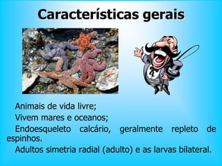 Características gerais
Animais de vida livre;
Vivem mares e oceanos;
Endoesqueleto calcário, geralmente repleto de
espinhos.
Adultos simetria radial (adulto) e as larvas bilateral.
 
