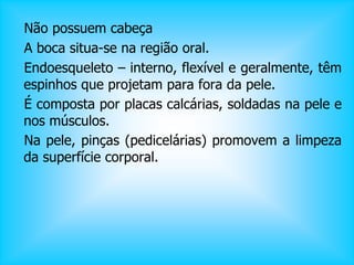 Não possuem cabeça
A boca situa-se na região oral.
Endoesqueleto – interno, flexível e geralmente, têm
espinhos que projetam para fora da pele.
É composta por placas calcárias, soldadas na pele e
nos músculos.
Na pele, pinças (pedicelárias) promovem a limpeza
da superfície corporal.
 