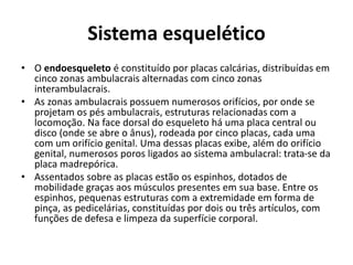 Sistema esquelético
• O endoesqueleto é constituído por placas calcárias, distribuídas em
cinco zonas ambulacrais alternadas com cinco zonas
interambulacrais.
• As zonas ambulacrais possuem numerosos orifícios, por onde se
projetam os pés ambulacrais, estruturas relacionadas com a
locomoção. Na face dorsal do esqueleto há uma placa central ou
disco (onde se abre o ânus), rodeada por cinco placas, cada uma
com um orifício genital. Uma dessas placas exibe, além do orifício
genital, numerosos poros ligados ao sistema ambulacral: trata-se da
placa madrepórica.
• Assentados sobre as placas estão os espinhos, dotados de
mobilidade graças aos músculos presentes em sua base. Entre os
espinhos, pequenas estruturas com a extremidade em forma de
pinça, as pedicelárias, constituídas por dois ou três artículos, com
funções de defesa e limpeza da superfície corporal.
 