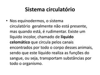 Sistema circulatório
• Nos equinodermos, o sistema
circulatório geralmente não está presente,
mas quando está, é rudimentar. Existe um
líquido incolor, chamado de líquido
celomático que circula pelos canais
encontrados por todo o corpo desses animais,
sendo que este líquido realiza as funções do
sangue, ou seja, transportam substâncias por
todo o organismo.
 