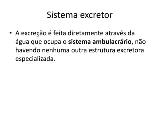 Sistema excretor
• A excreção é feita diretamente através da
água que ocupa o sistema ambulacrário, não
havendo nenhuma outra estrutura excretora
especializada.
 