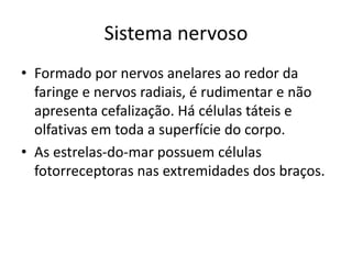 Sistema nervoso
• Formado por nervos anelares ao redor da
faringe e nervos radiais, é rudimentar e não
apresenta cefalização. Há células táteis e
olfativas em toda a superfície do corpo.
• As estrelas-do-mar possuem células
fotorreceptoras nas extremidades dos braços.
 