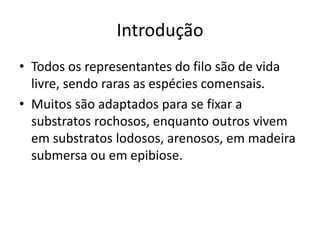 Introdução
• Todos os representantes do filo são de vida
livre, sendo raras as espécies comensais.
• Muitos são adaptados para se fixar a
substratos rochosos, enquanto outros vivem
em substratos lodosos, arenosos, em madeira
submersa ou em epibiose.
 