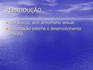 REPRODUÇÃO
• São dióicos, sem dimorfismo sexual.
• Fecundação externa e desenvolvimento
indireto.
 