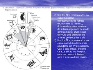 a) Um dos filos representados no
esquema possui
representantes de habitat
exclusivamente marinho,
dotados de endoesqueleto e
de sistema digestório de modo
geral completo. Qual é esse
filo? Cite dois exemplos de
animais pertencentes a ele.
b) Um dos filos representados no
esquema inclui a classe mais
abundante em nº de espécies.
Qual é essa classe? Indique
características morfológicas
externas que contribuíram
para o sucesso dessa classe.
 