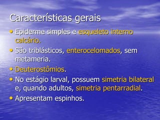 Características gerais
• Epiderme simples e esqueleto interno
calcário.
• São triblásticos, enterocelomados, sem
metameria.
• Deuterostômios.
• No estágio larval, possuem simetria bilateral
e, quando adultos, simetria pentarradial.
• Apresentam espinhos.
 