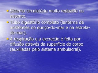 • Sistema circulatório muito reduzido ou
ausente.
• Tubo digestório completo (lanterna de
aristóteles no ouriço-do-mar e na estrela-
do-mar).
• A respiração e a excreção é feita por
difusão através da superfície do corpo
(auxiliadas pelo sistema ambulacral).
 