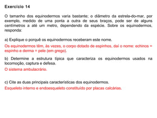 Exercício 14
O tamanho dos equinodermos varia bastante; o diâmetro da estrela-do-mar, por
exemplo, medido de uma ponta a outra de seus braços, pode ser de alguns
centímetros a até um metro, dependendo da espécie. Sobre os equinodermos,
responda:
a) Explique o porquê os equinodermos receberam este nome.
b) Determine a estrutura típica que caracteriza os equinodermos usados na
locomoção, captura e defesa.
c) Cite as duas principais características dos equinodermos.
Os equinodermos têm, às vezes, o corpo dotado de espinhos, daí o nome: echinos =
espinho e derma = pele (em grego).
O sistema ambulacrário.
Esqueleto interno e endoesqueleto constituído por placas calcárias.
 