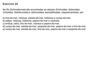 Exercício 20
No filo Echinodermata são encontradas as classes Echinoidea, Asteroidea,
Crinoidea, Holothuroidea e Ophiuroidea, exemplificadas, respectivamente, por:
a) lírio-do-mar, medusa, estrela-do-mar, holotúria e ouriço-do-mar.
b) pólipo, medusa, holotúria, pepino-do-mar e caravela.
c) embuá, ostra, lírio-do-mar, marisco e pepino-do-mar.
d) ouriço-do-mar, estrela-do-mar, serpente-do-mar, pepino-do-mar e lírio-do-mar.
e) ouriço-do-mar, estrela-do-mar, lírio-do-mar, pepino-do-mar e serpente-do-mar.
 