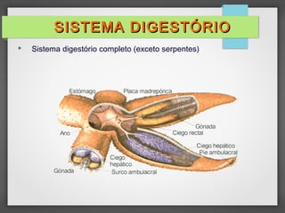  Sistema digestório completo (exceto serpentes)
SISTEMA DIGESTÓRIO
SISTEMA DIGESTÓRIO
 