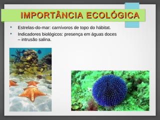  Estrelas-do-mar: carnívoros de topo do hábitat.
 Indicadores biológicos: presença em águas doces
– intrusão salina.
IMPORTÂNCIA ECOLÓGICA
IMPORTÂNCIA ECOLÓGICA
 