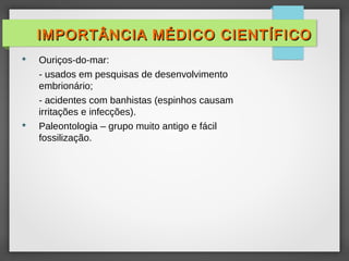  Ouriços-do-mar:
- usados em pesquisas de desenvolvimento
embrionário;
- acidentes com banhistas (espinhos causam
irritações e infecções).
 Paleontologia – grupo muito antigo e fácil
fossilização.
IMPORTÂNCIA MÉDICO CIENTÍFICO
IMPORTÂNCIA MÉDICO CIENTÍFICO
 