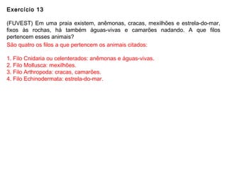 Exercício 13
(FUVEST) Em uma praia existem, anêmonas, cracas, mexilhões e estrela-do-mar,
fixos às rochas, há também águas-vivas e camarões nadando. A que filos
pertencem esses animais?
São quatro os filos a que pertencem os animais citados:
1. Filo Cnidaria ou celenterados: anêmonas e águas-vivas.
2. Filo Mollusca: mexilhões.
3. Filo Arthropoda: cracas, camarões.
4. Filo Echinodermata: estrela-do-mar.
 