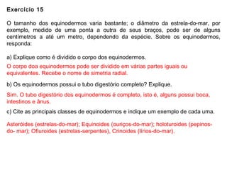Exercício 15
O tamanho dos equinodermos varia bastante; o diâmetro da estrela-do-mar, por
exemplo, medido de uma ponta a outra de seus braços, pode ser de alguns
centímetros a até um metro, dependendo da espécie. Sobre os equinodermos,
responda:
a) Explique como é dividido o corpo dos equinodermos.
b) Os equinodermos possui o tubo digestório completo? Explique.
c) Cite as principais classes de equinodermos e indique um exemplo de cada uma.
O corpo doa equinodermos pode ser dividido em várias partes iguais ou
equivalentes. Recebe o nome de simetria radial.
Sim. O tubo digestório dos equinodermos é completo, isto é, alguns possui boca,
intestinos e ânus.
Asteróides (estrelas-do-mar); Equinoides (ouriços-do-mar); holoturoides (pepinos-
do- mar); Ofiuroides (estrelas-serpentes), Crinoides (lírios-do-mar).
 