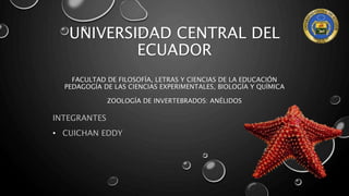 UNIVERSIDAD CENTRAL DEL
ECUADOR
FACULTAD DE FILOSOFÍA, LETRAS Y CIENCIAS DE LA EDUCACIÓN
PEDAGOGÍA DE LAS CIENCIAS EXPERIMENTALES, BIOLOGÍA Y QUÍMICA
ZOOLOGÍA DE INVERTEBRADOS: ANÉLIDOS
INTEGRANTES
• CUICHAN EDDY
 