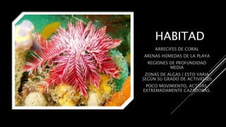 HABITAD
ARRECIFES DE CORAL
ARENAS HÚMEDAS DE LA PLAYA
REGIONES DE PROFUNDIDAD
MEDIA
ZONAS DE ALGAS ( ESTO VARIA
SEGÚN SU GRADO DE ACTIVIDAD)
POCO MOVIMIENTO, ACTIVAS,
EXTREMADAMENTE CAZADORAS.
 