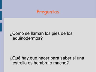 Cosas curiosas Para saber si un equinodermo es macho o hembra, hay que  diseccionarlos  para ver sus gonodadas. Los machos son los que paren 