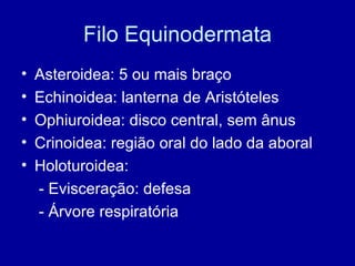 Filo Equinodermata Asteroidea: 5 ou mais braço Echinoidea: lanterna de Aristóteles Ophiuroidea: disco central, sem ânus Crinoidea: região oral do lado da aboral Holoturoidea: - Evisceração: defesa - Árvore respiratória 