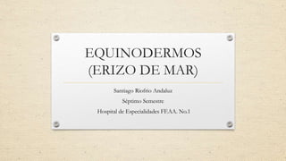 EQUINODERMOS
(ERIZO DE MAR)
Santiago Riofrio Andaluz
Séptimo Semestre
Hospital de Especialidades FF.AA. No.1
 