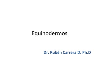 Equinodermos


    Dr. Rubén Carrera D. Ph.D
 