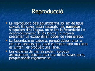 Reproducció La reproducció dels equinoderms sol ser de tipus sexual. Els sexes estan separats i els  gàmetes  s'expulsen dins l'aigua, on té lloc la fecundació i el desenvolupament de les larves. La majoria presenten un extraordinari poder de regeneració. La fecundació es externa, perquè deixen anar la cel·lules sexuals que, quan es troben amb una altra es junten i es produeix una larva. Les estrelles de mar es poden reproduir asexualment, deixant anar una de les seves parts, perquè poden regenerar-se. 