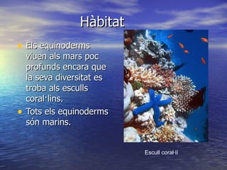 Hàbitat Els equinoderms viuen als mars poc profunds encara que la seva diversitat es troba als esculls coral·lins.  Tots els equinoderms són marins. Escull coral·lí 