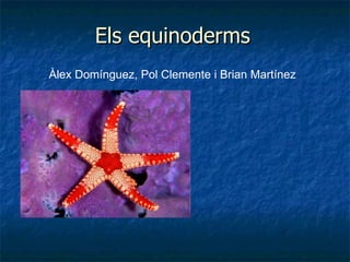 Els   equinoderms Àlex Domínguez, Pol Clemente i Brian Martínez 