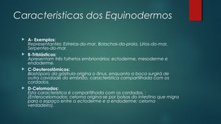 Caracteristicas dos Equinodermos
 A- Exemplos:
Representantes: Estrelas-do-mar, Bolachas-da-praia, Lírios-do-mar,
Serpentes-do-mar.
 B-Triblásticos:
Apresentam três folhetos embrionários: ectoderme, mesoderme e
endoderme.
 C-Deuterostômicos:
Blastóporo da gástrula origina o ânus, enquanto a boca surgirá de
outra cavidade do embrião, característica compartilhada com os
cordados.
 D-Celomados:
Esta característica é compartilhada com os cordados. :
(Enterocelomados: celoma origina-se por bolsas do intestino que migra
para o espaço entre a ectoderme e a endoderme; celoma
verdadeiro).
 