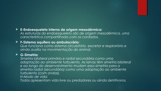  E-Endoesqueleto interno de origem mesodérmica:
As estruturas do endoesqueleto são de origem mesodérmica, uma
característica compartilhada com os cordados.
 F-Sistema aquífero ou ambulacrário:
Que funciona como sistema circulatório, excretor e respiratório e
ainda auxilia na movimentação do animal.
 G-Simetria:
Simetria bilateral primária e radial secundária como uma
adaptação ao ambiente turbulento. As larvas têm simetria bilateral
e ao longo do desenvolvimento mudam essa simetria para a
simetria radial (secundária) como uma adaptação ao ambiente
turbulento (com ondas).
H-Modo de vida:
Todos apresentam vida livre ou predadores ou ainda detritívoros.
 