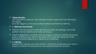  I-Reprodução:
São organismos dióicos, fecundação externa (gametas são liberados
na água)
Ovo dá origem a uma larva ciliada (desenvolvimento indireto).
 J- Sistemas funcionais:
 Sistema nervoso do tipo anel nervoso ao redor do esôfago, de onde
partem nervos radiais para todos os braços.
 Sistema digestório completo que em alguns casos é invertido (lançado
para o exterior) para dentro da presa (conchas de moluscos) onde
secreta enzimas digestivas e absorve os nutrientes.
 L- Células:
Apresentam células sensoriais (táteis e olfativas) espalhadas por todo o
corpo; e células fotorreceptoras nas extremidades dos braços.
 