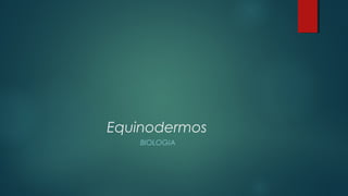 Equinodermos
BIOLOGIA
 