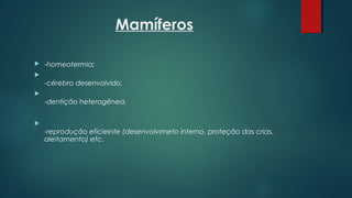 Mamíferos
 -homeotermia; 

-cérebro desenvolvido,

-dentição heterogênea,

-reprodução eficieinte (desenvolvimeto interno, proteção das crias,
aleitamento) etc.
 