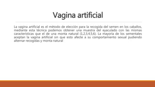 Vagina artificial
La vagina artificial es el método de elección para la recogida del semen en los caballos,
mediante esta técnica podemos obtener una muestra del eyaculado con las mismas
características que el de una monta natural (1,2,3,4,5,6). La mayoría de los sementales
aceptan la vagina artificial sin que esto afecte a su comportamiento sexual pudiendo
alternar recogidas y monta natural
 